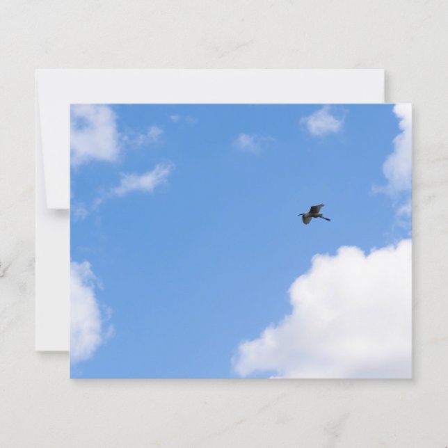 Solitary Bird Soaring Through Bright Blue Sky with (Frente)