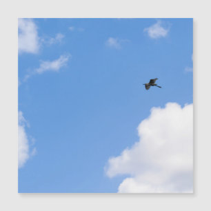 Solitary Bird Soaring Through Bright Blue Sky with