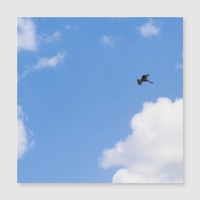 Solitary Bird Soaring Through Bright Blue Sky with (Frente)
