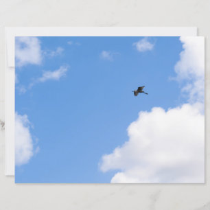 Solitary Bird Soaring Through Bright Blue Sky with