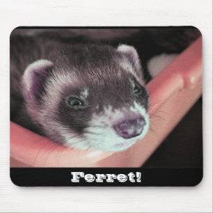 Solte o Mousepad Ferret