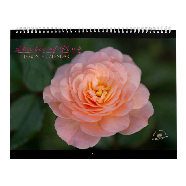 Sombras do Calendário Rosa de 12 Meses (Capa)