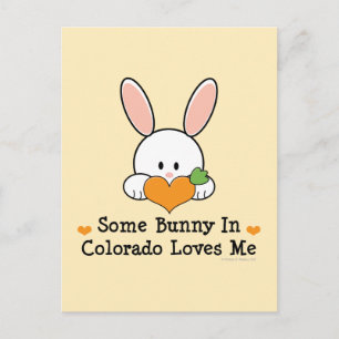 Some Bunny In Colorado Me Ama Cartão Postal