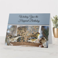Songbird - O Cartão de Aniversário Mais Feliz