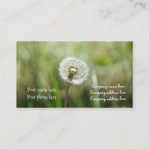 sonha o cartão de visita