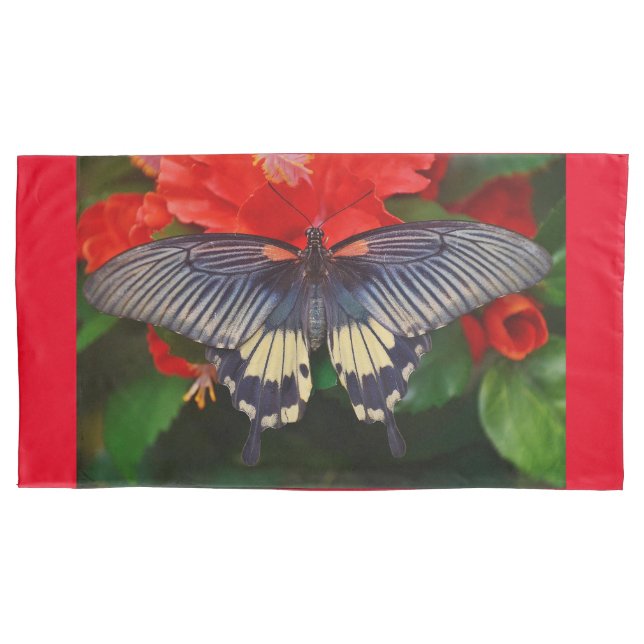 Sonho de borboleta (Frente)