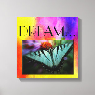 Sonho de quebra de canvas