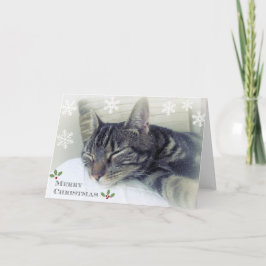 Sonho de um cartão do White Christmas