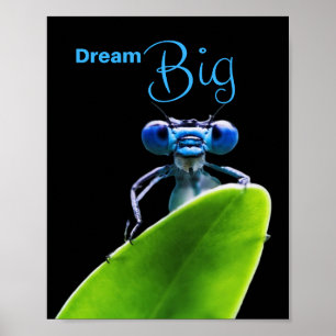 Sonho Grande Dragonfly Motivational Matt Poster