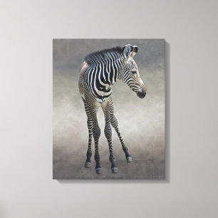 Sonhos na Impressão de Canvas Preta e Branca