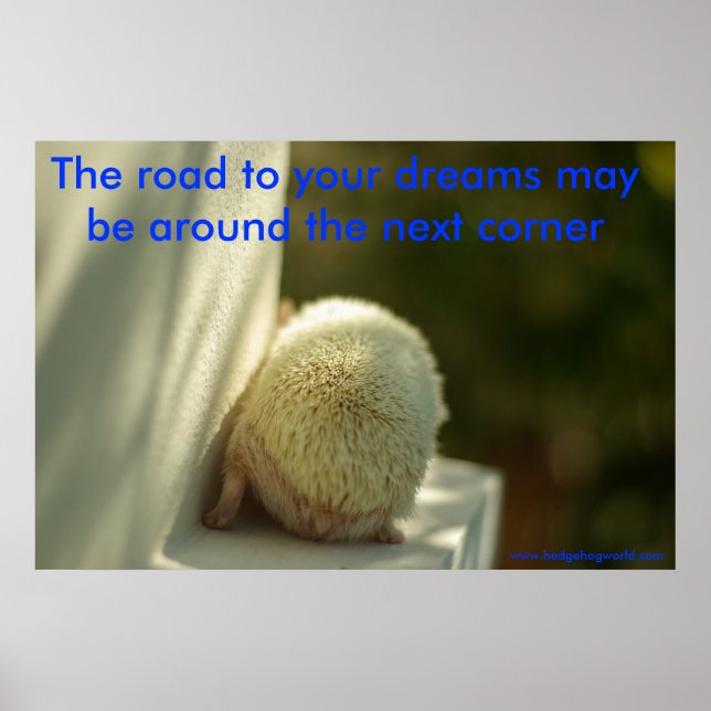 Sonhos poster (Frente)