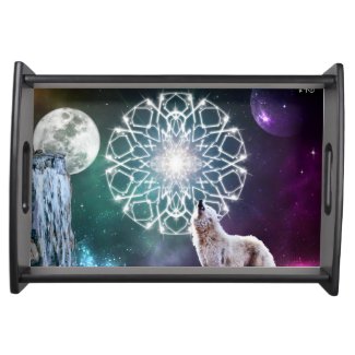 Sons do universo bandejas de alimentos