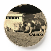 Soquete de Dobby e Calico Pop