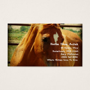 Sorrel em Caneta redonda