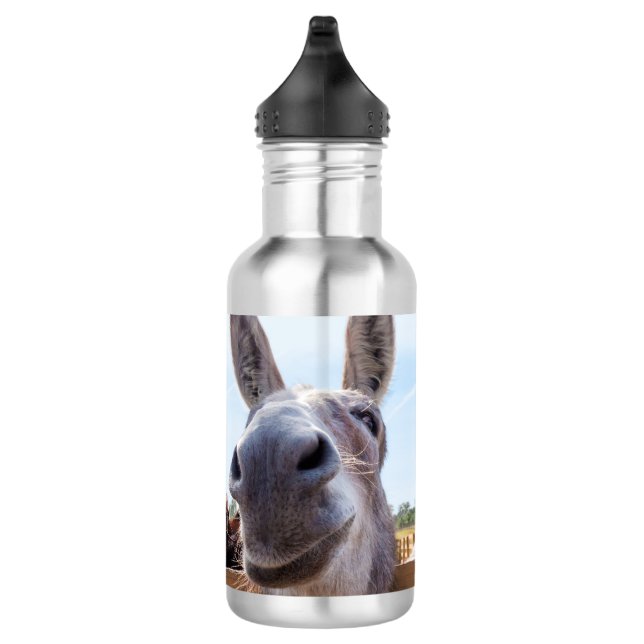 Sorrindo burro com uma garrafa de água de Bobo (Direita)