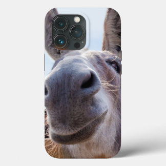 Sorriso de burro com Bobo