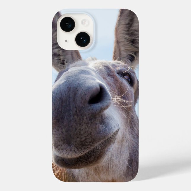 Sorriso de burro com Bobo (Verso)