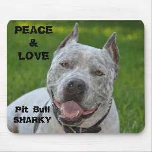 sorriso sharky do pitbull do cão do mousepad do