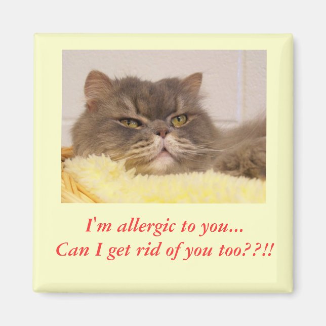 Sou alérgico a você. Íman (Frente)