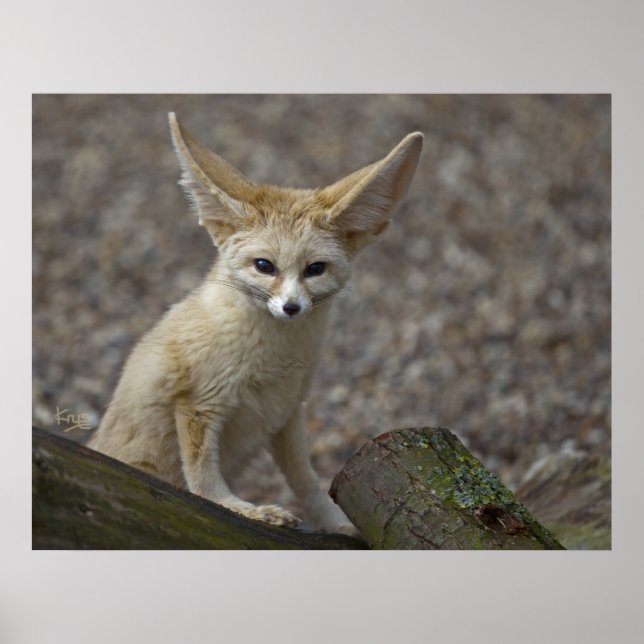 Sou o Impressão de Todos os Ouvidos (Frente)