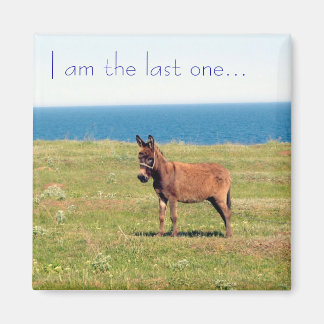 Sou o último... Íman