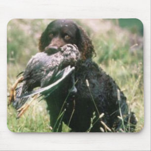 Spaniel de água americana Mousepad