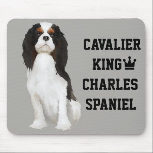 Spaniel de rei Charles descuidado Mousepad