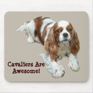 Spaniel de rei Charles descuidado Mousepad