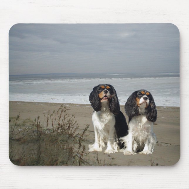 Spaniel de rei Charles descuidado Mousepad (Frente)