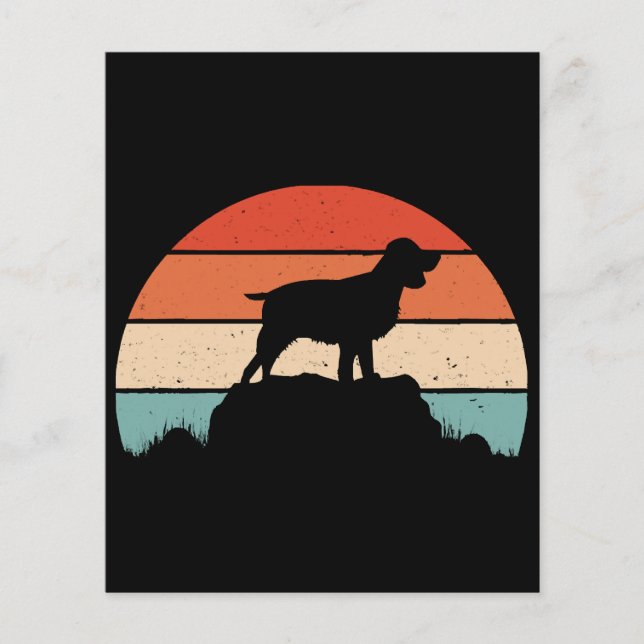 Spaniel de springer em inglês (Frente)