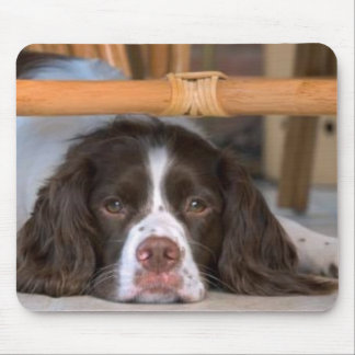 Spaniel de Springer inglês Mousepad