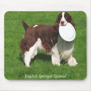 Spaniel de Springer inglês Mousepad