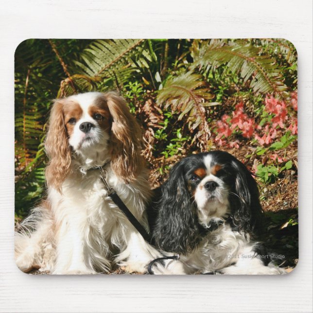 Spaniels descuidados Mousepad (Frente)