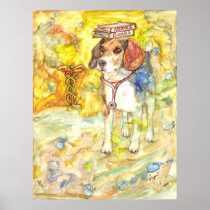 Sparky vai para a poster da faculdade de medicina