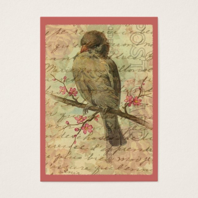 Sparrow Vintage (Frente)