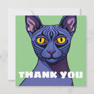 Sphynx Cat