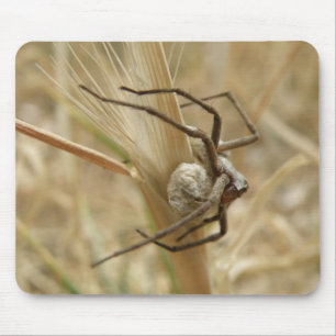 Spider and Egg Sac Mousepad