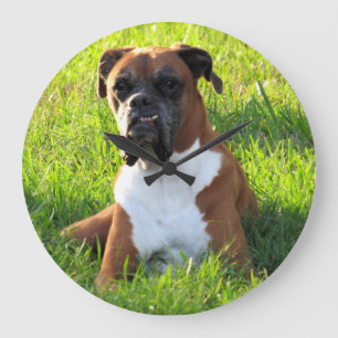 Spike the Boxer - Cão - Relógio de Parede
