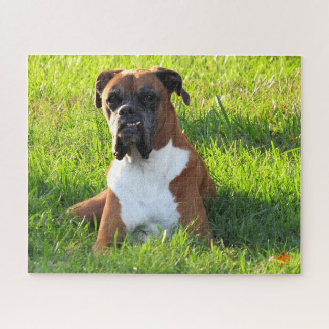 Spike the Boxer - Quebra-cabeça (Horizontal)