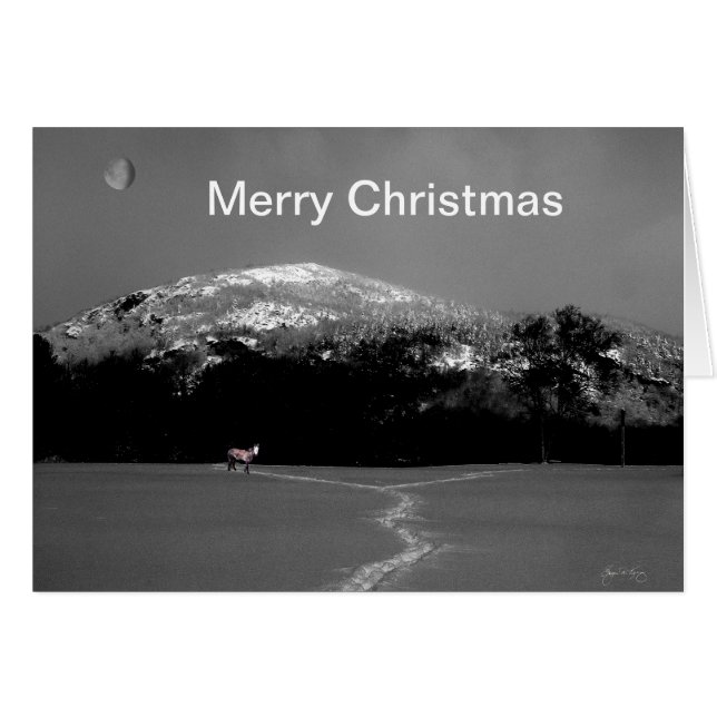 Spirit Pony Sob Cartão De Natal De Lua Gibbus (Frente Horizontal)