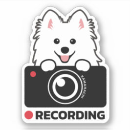 Spitz japonês Dashcam Advertência vinil adesivo
