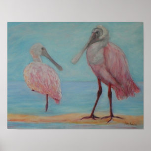 SPOONBILLS RÓSEOS no poster de FLORIDA