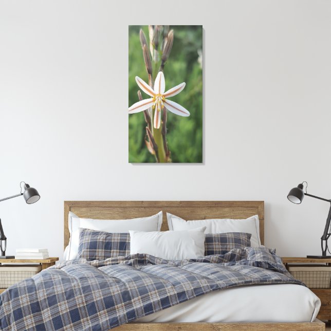 Spring flora South Africa Canvas Print (Insitu(Quarto))
