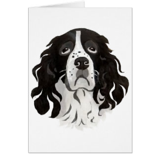 Springer enfrenta o cartão