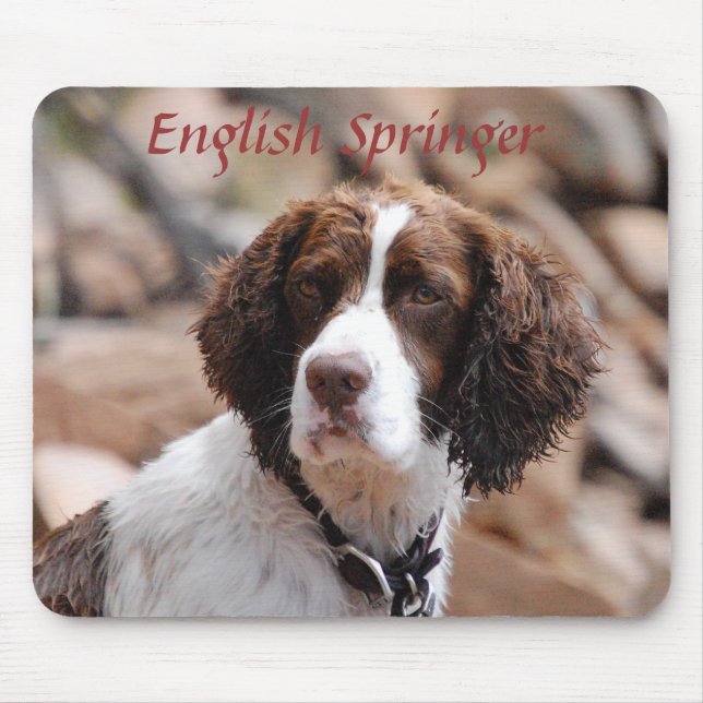 Springer inglês Mousepad (Frente)