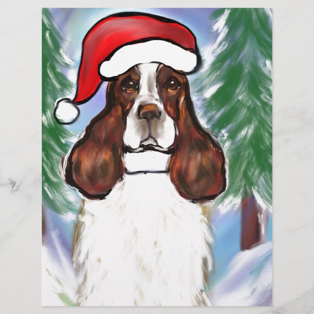 SPRINGER SPANIEL INGLÊS (Frente)