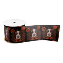 Springer Spaniel Inglês