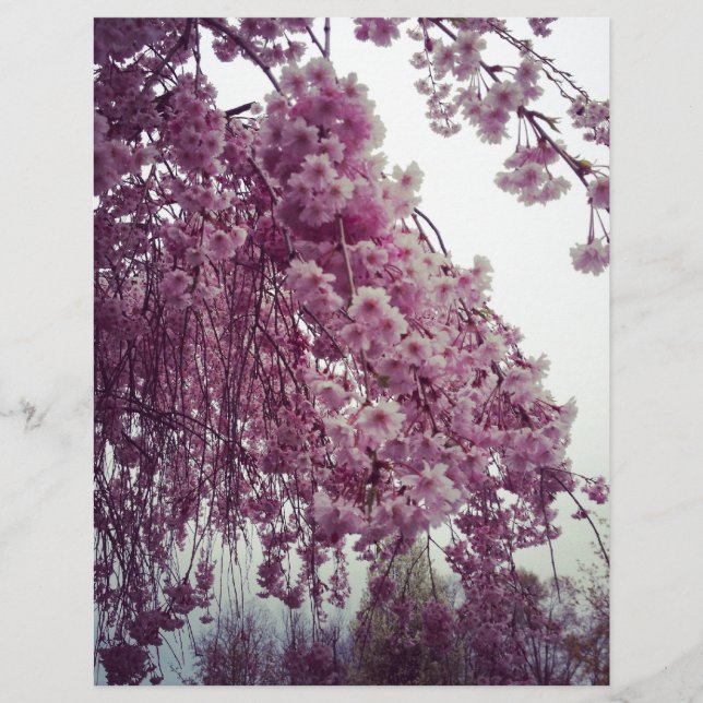 Springtime (Frente)