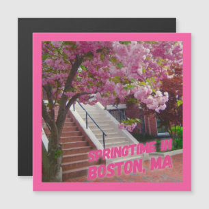 Springtime em Boston, MÃES