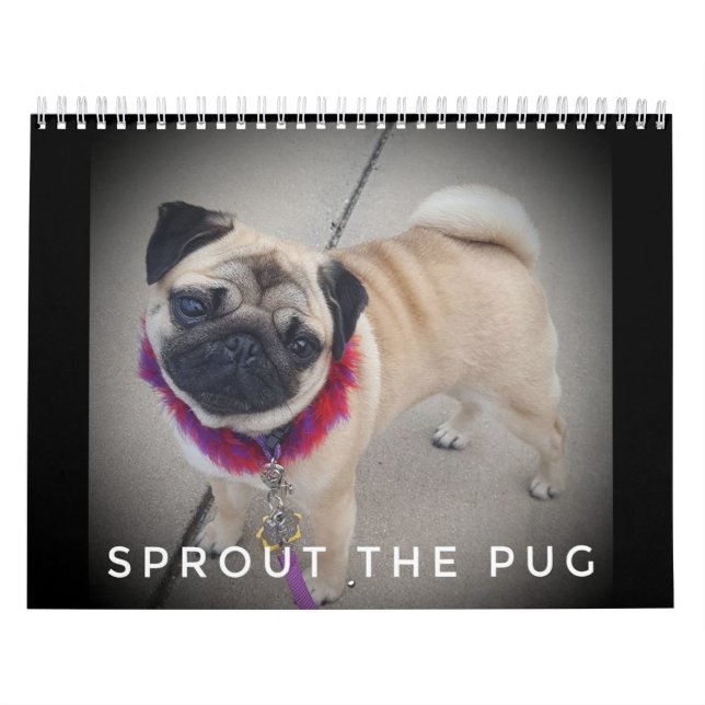 Sprout o calendário 2019 do Pug (Capa)